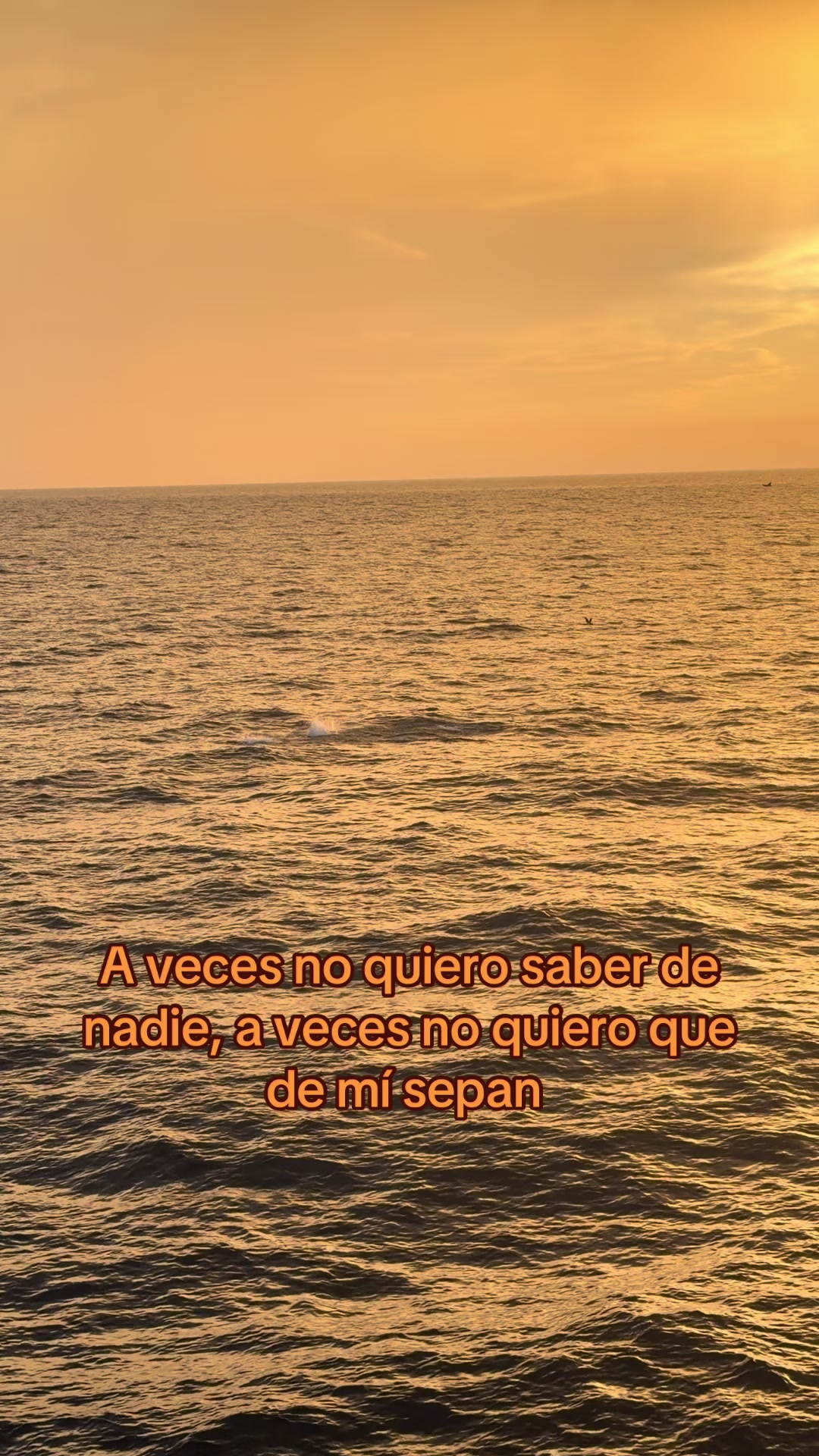 @Celia Utrera
