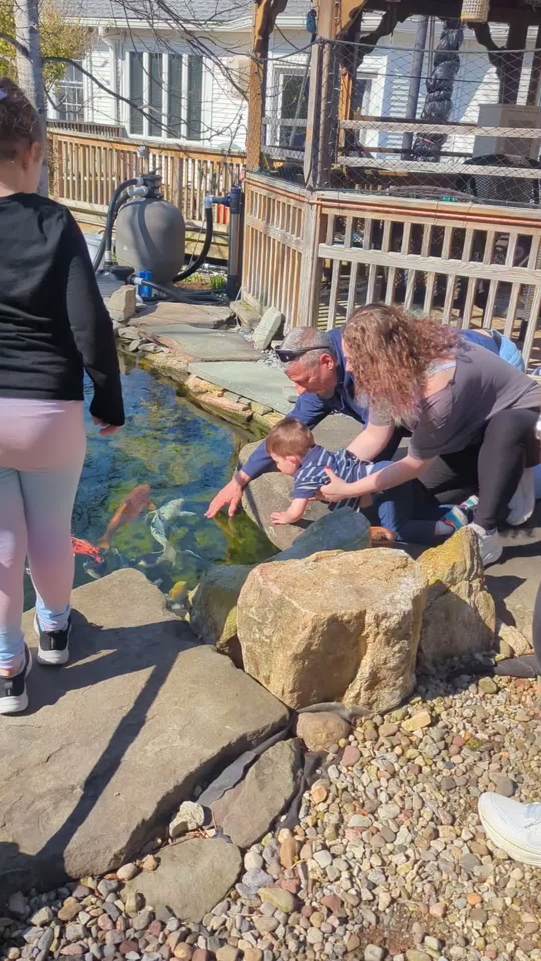 @B&M Aquatics