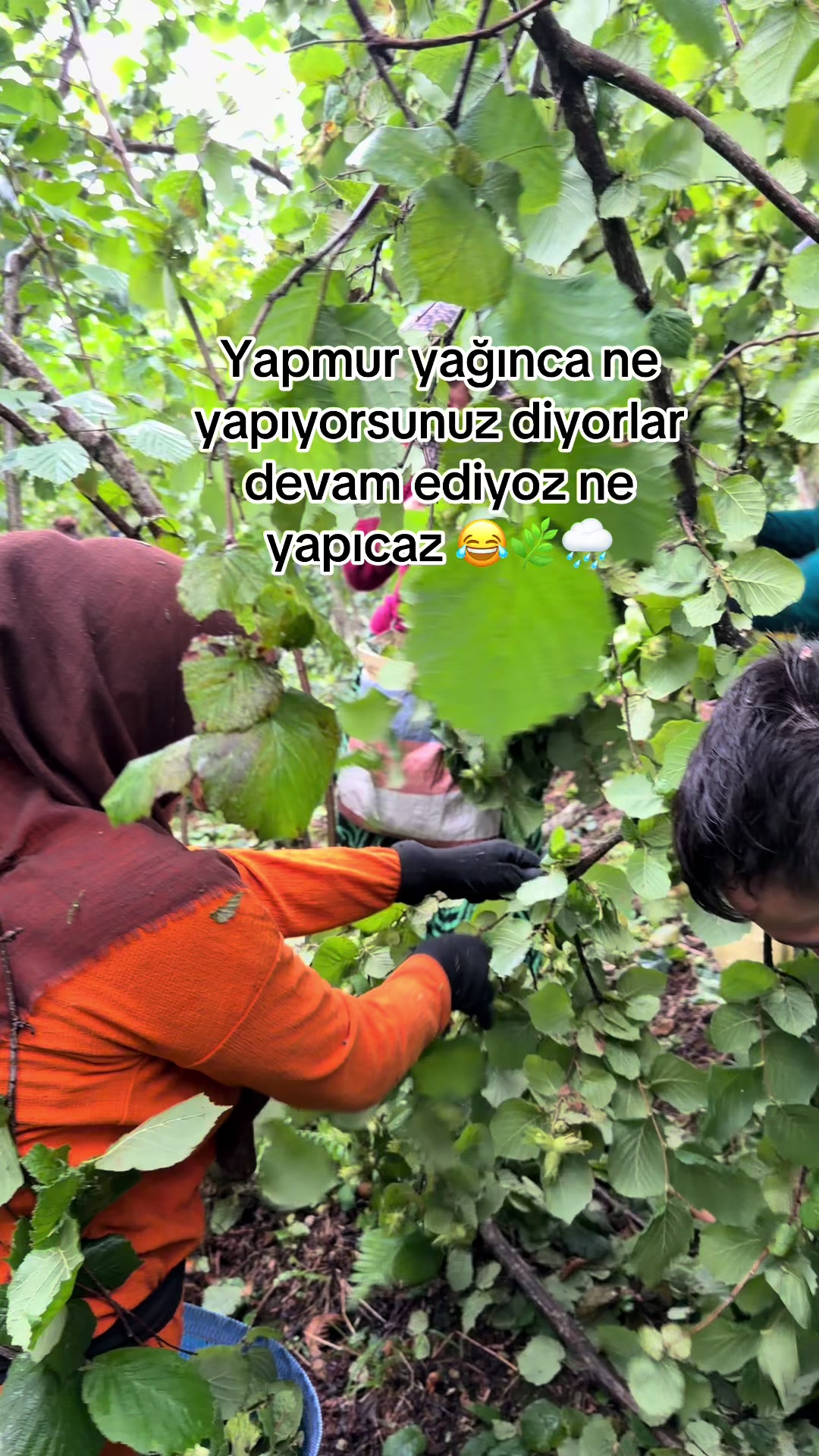 @Derya Çkr🌸🧿