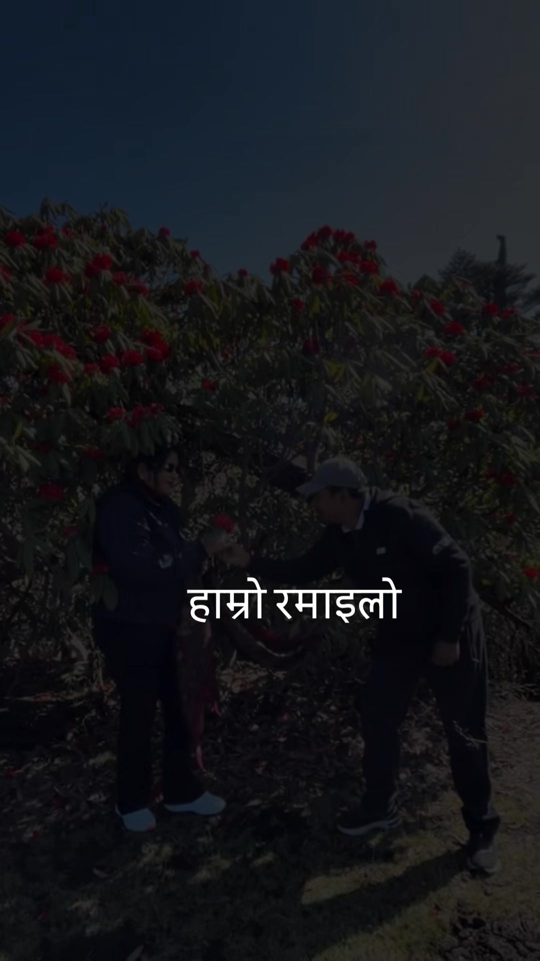 @pabitra 7