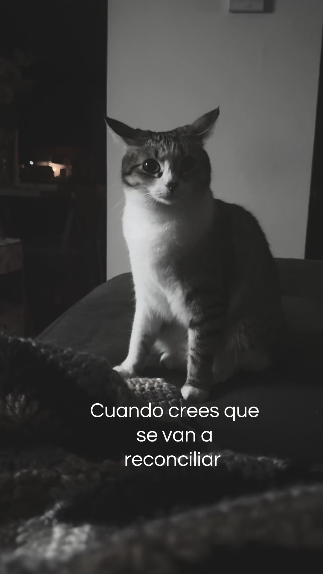 @Lupito