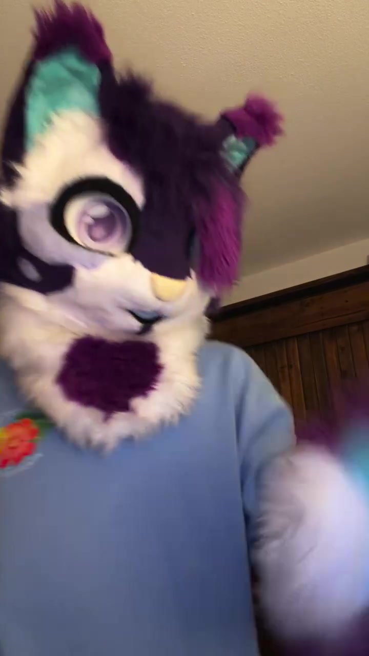 @Starlight @ FWA