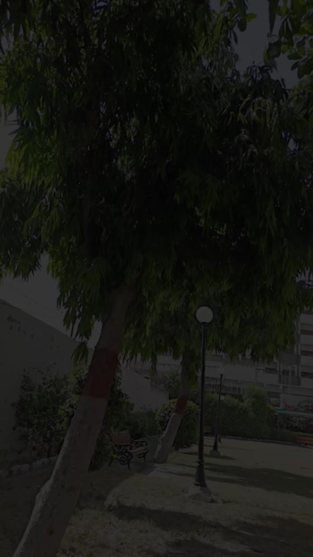 @mazhar kaka,