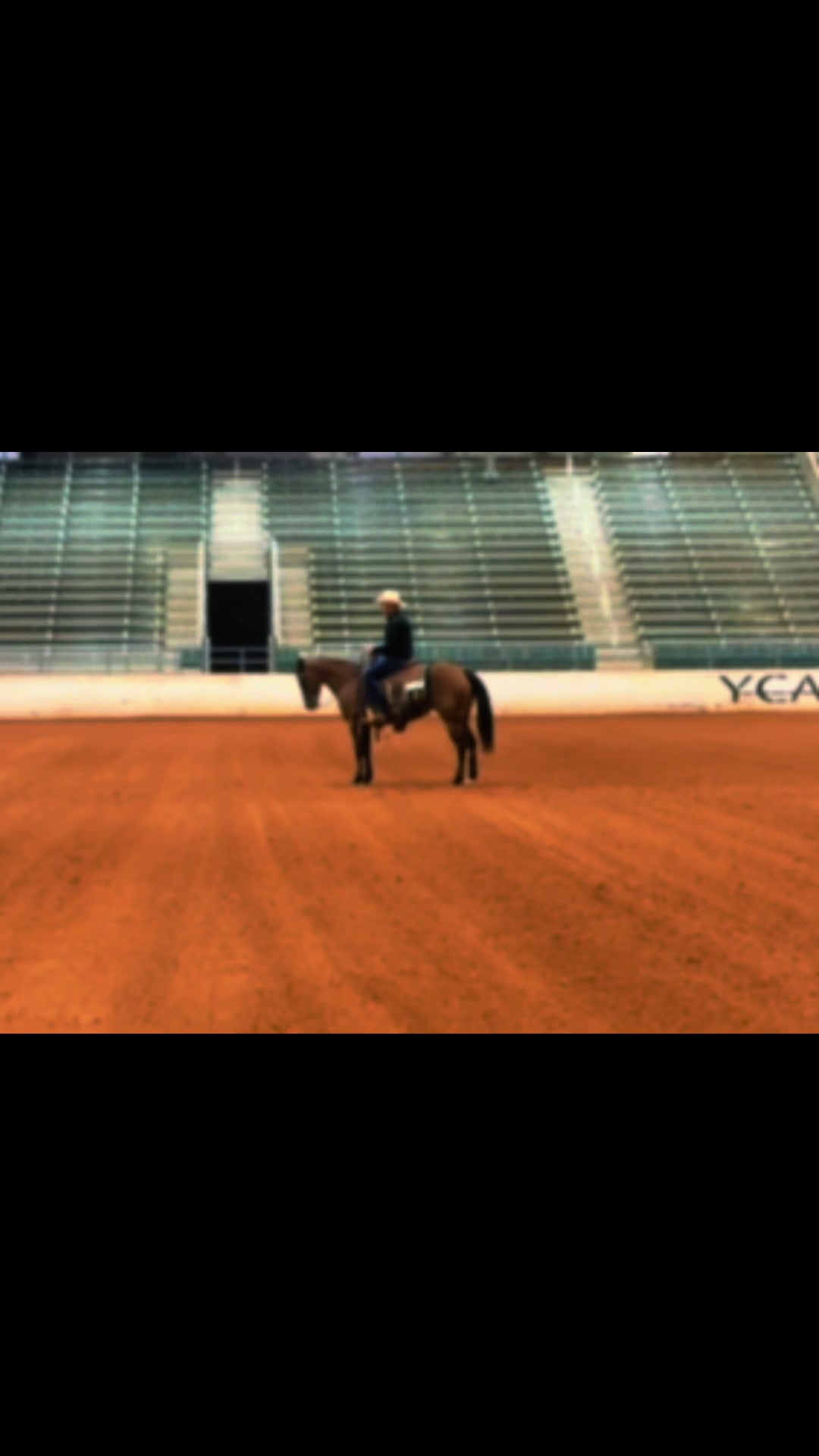 @Freedom Equestrian Center