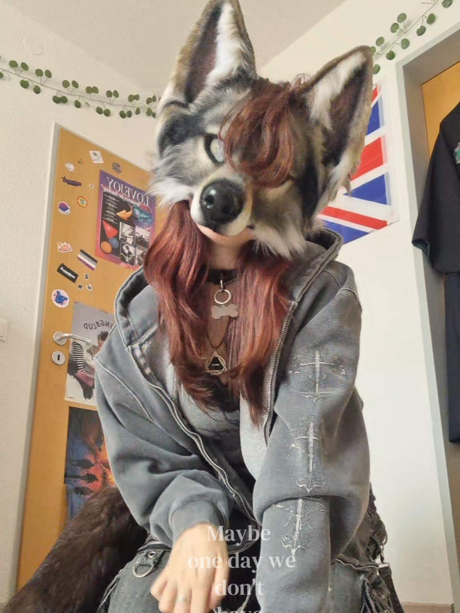 @☆sillydog☆