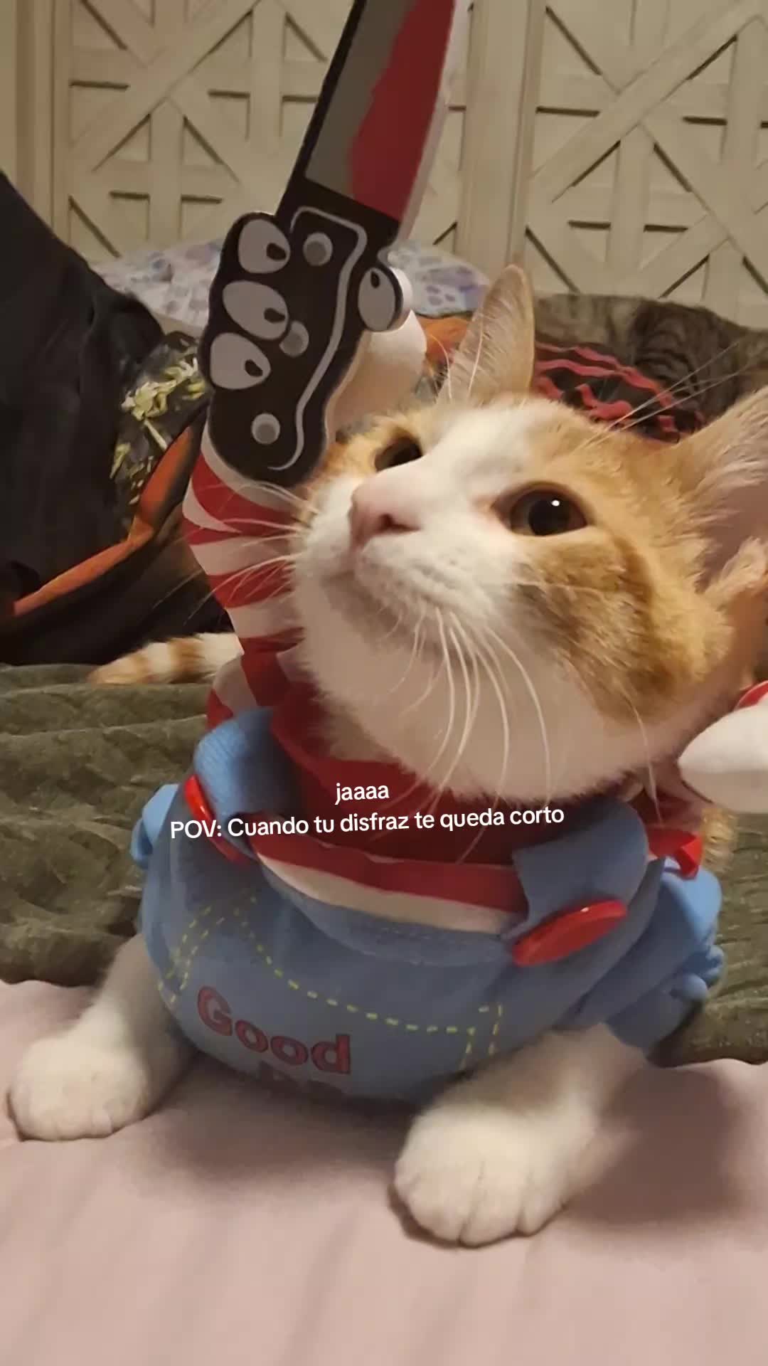 @Mamagatera20