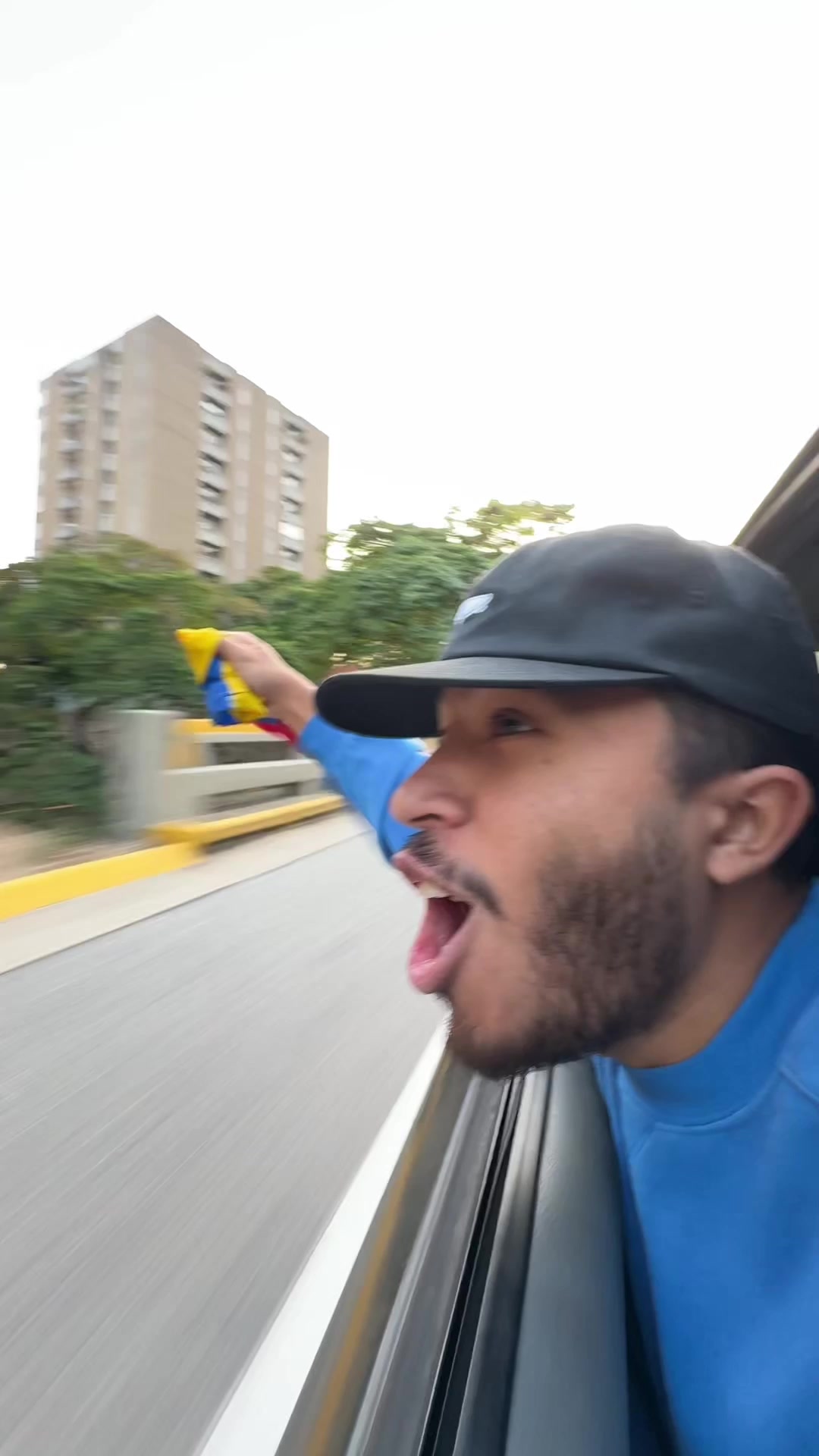 @Sebastian Vielma