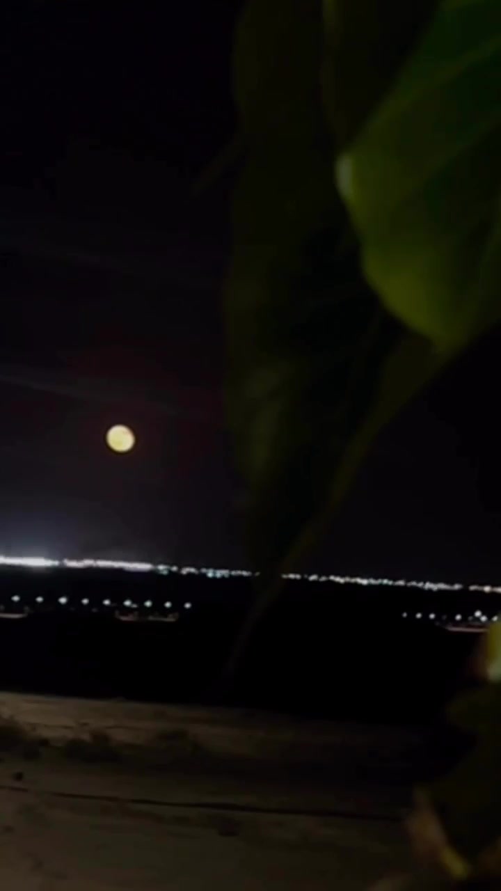 @🌹بنت عتيبة الروقي🌹