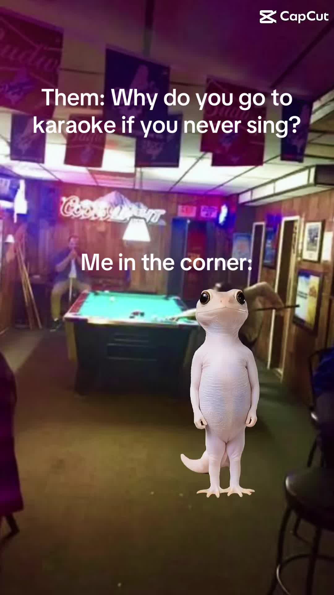 @Sbjv4