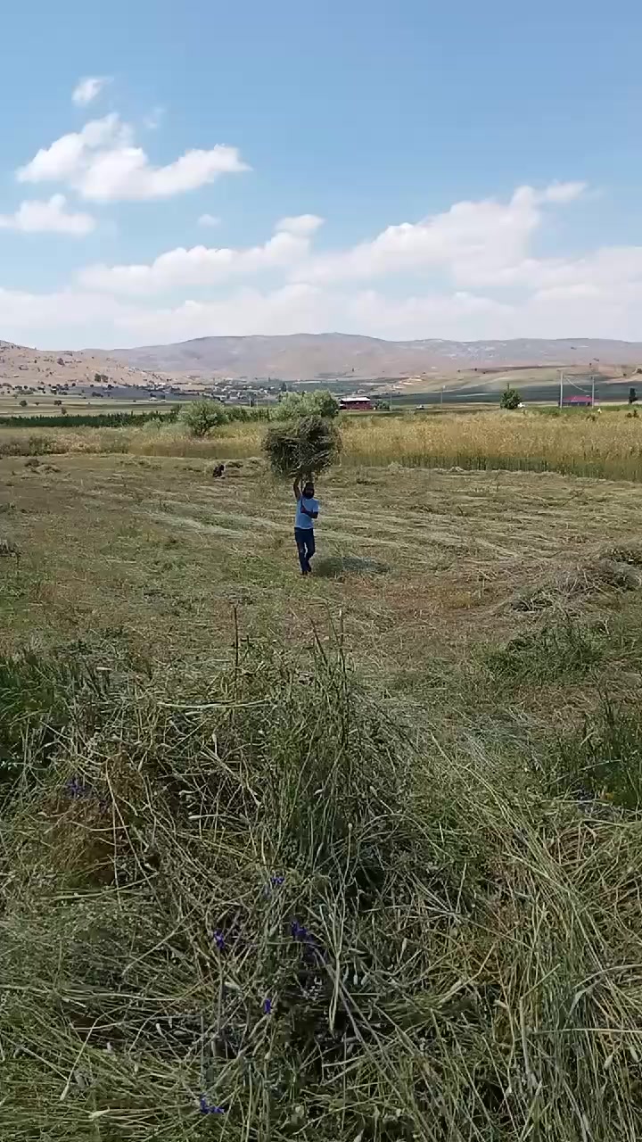 @Haşmet &Ccedil;etin