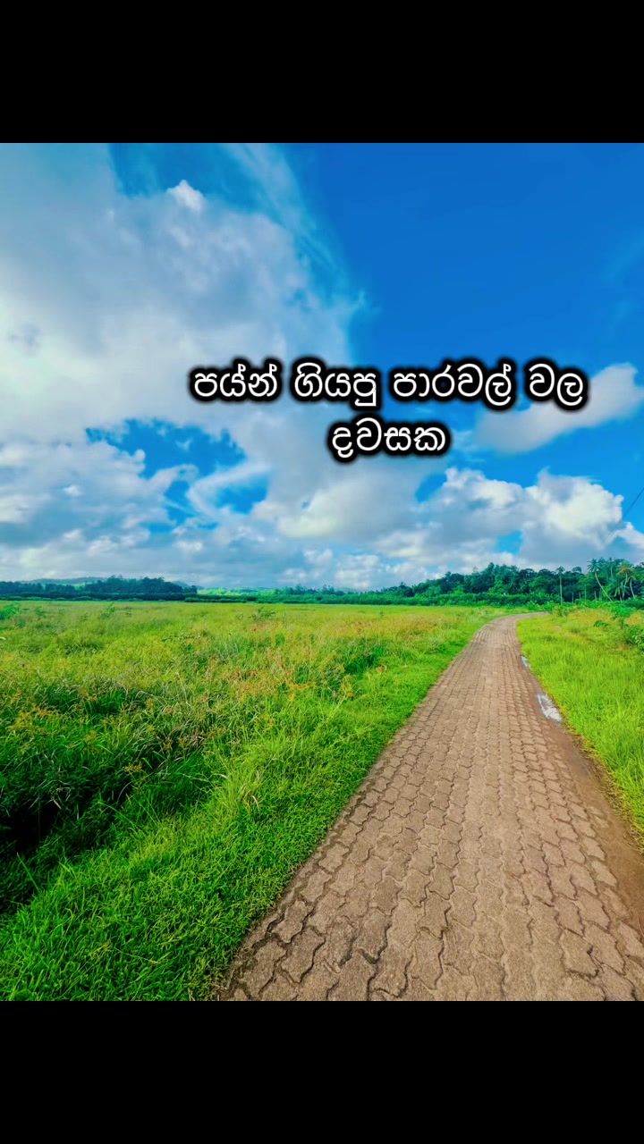 @chamal.ruchira