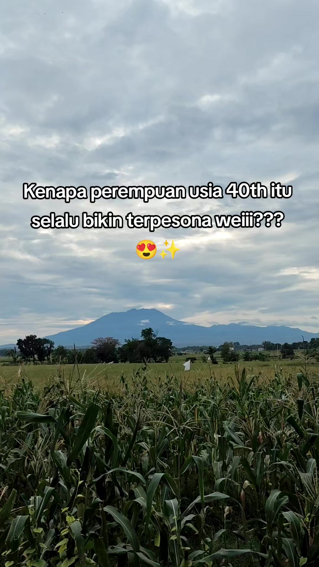 @BRNDG