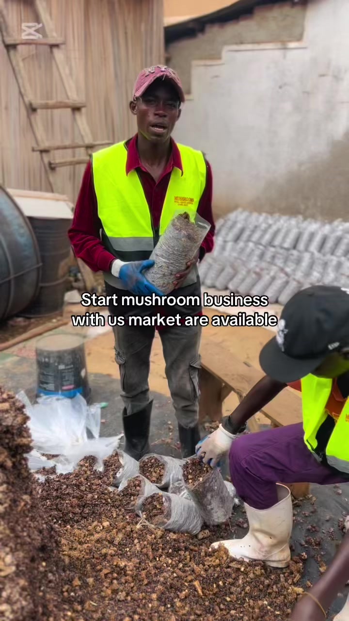 @BLESSED AGRICULTURAL MUSHROOM