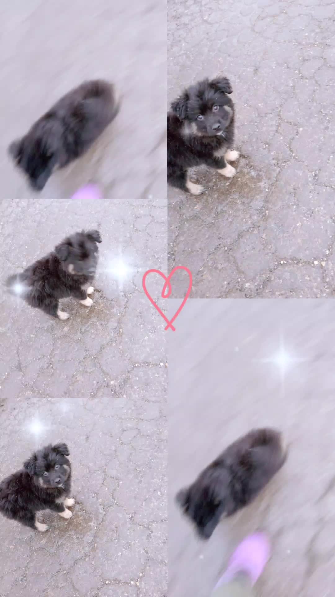 @Ленуся 🐱