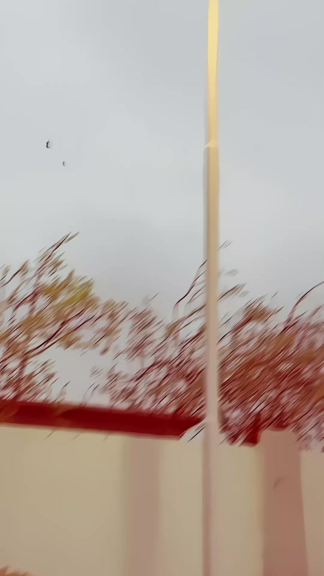 @🇹🇷 𝙰𝐊 𝔹𝑹ᴀ𝗡D̶ ⚜️🚩333