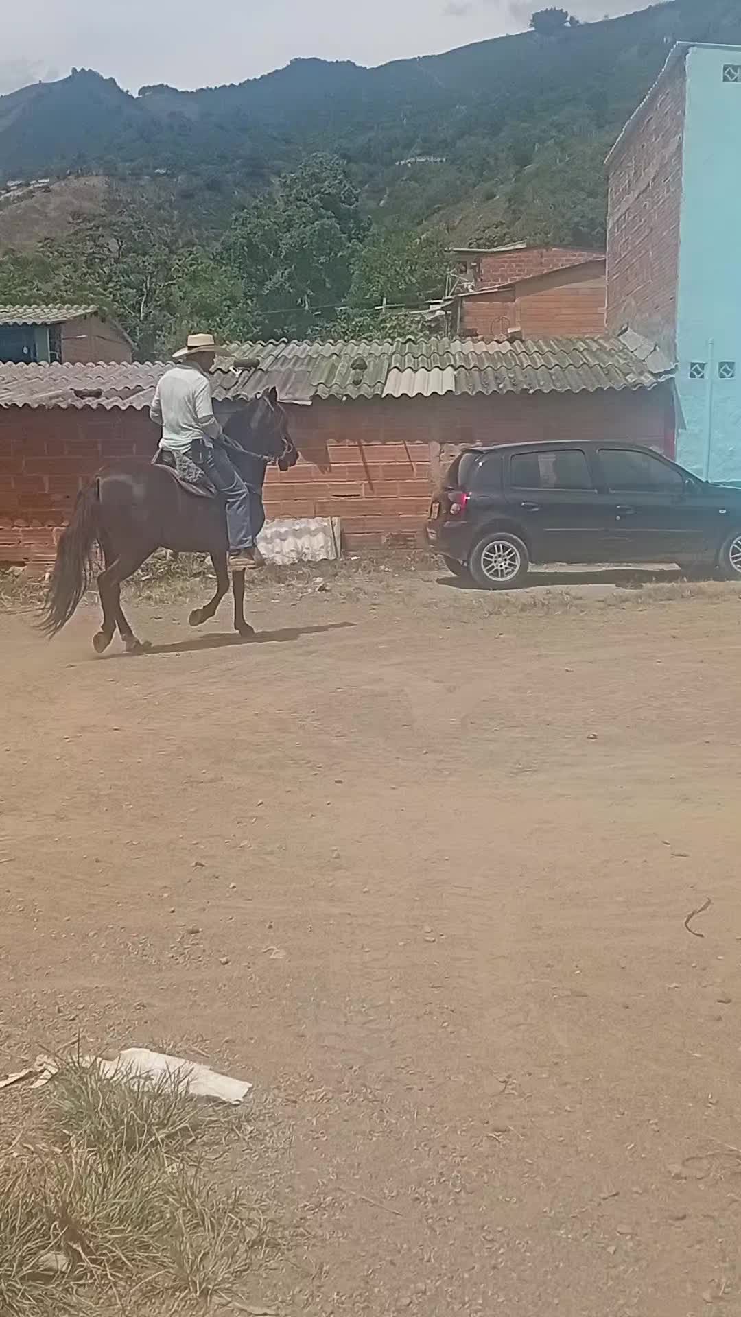 @José Orlando