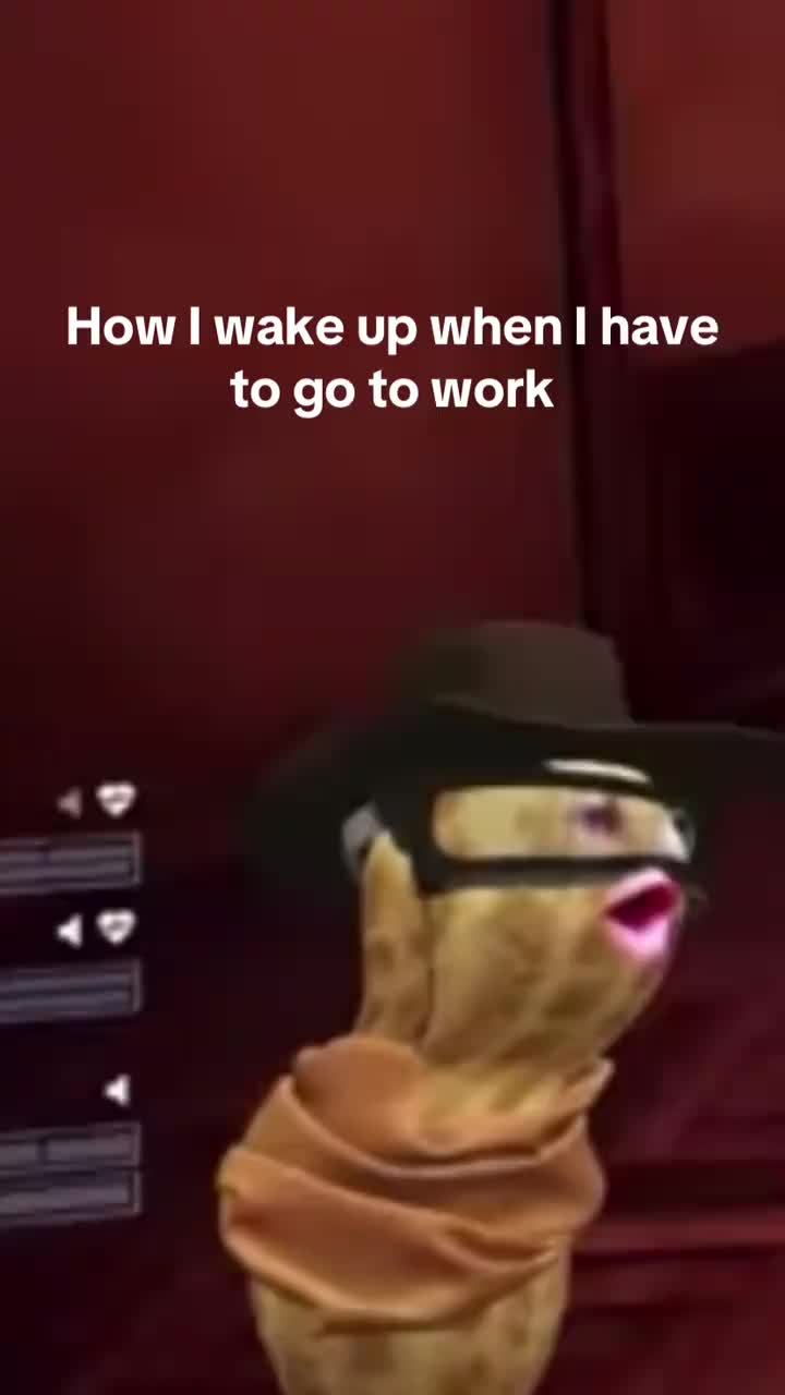 @Peanut clips every day