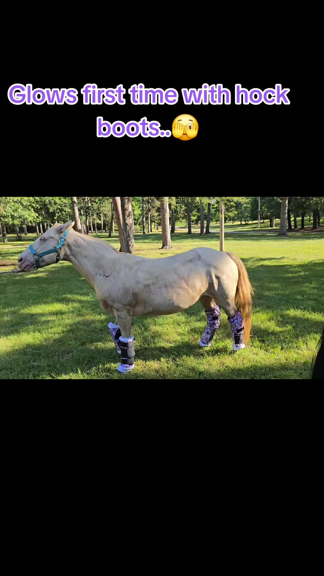 @Small Town Farm LLC