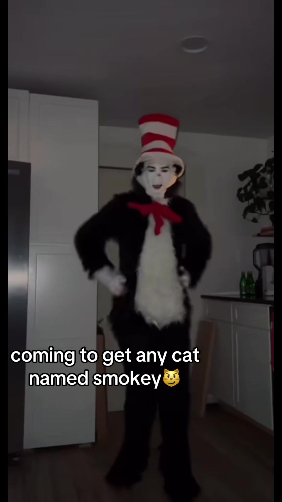 @Smokey the kitty😼