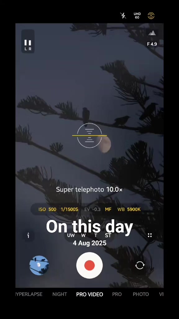 @𝚃𝚘𝚗𝚢𝚌𝚕𝚒𝚌𝚔'𝚂 𝙿𝙾𝚅📱