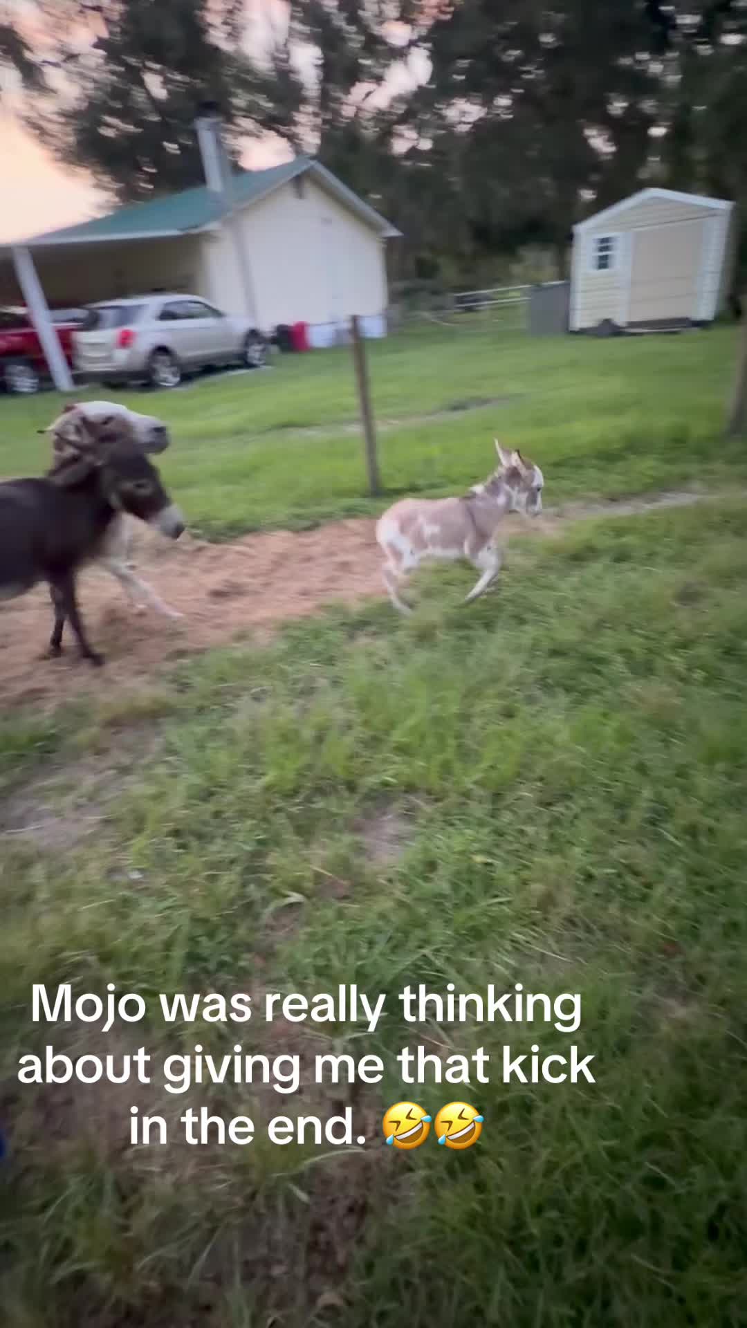 @Kelley Farms