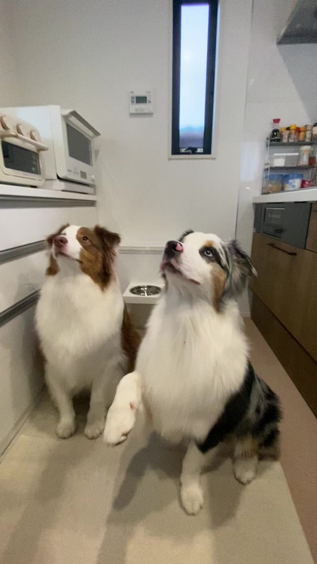 @サン&タマ