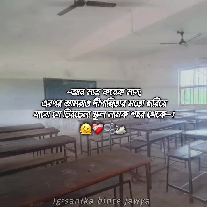 @𓂃𝒛𝒂𝒚𝒂-!🦢