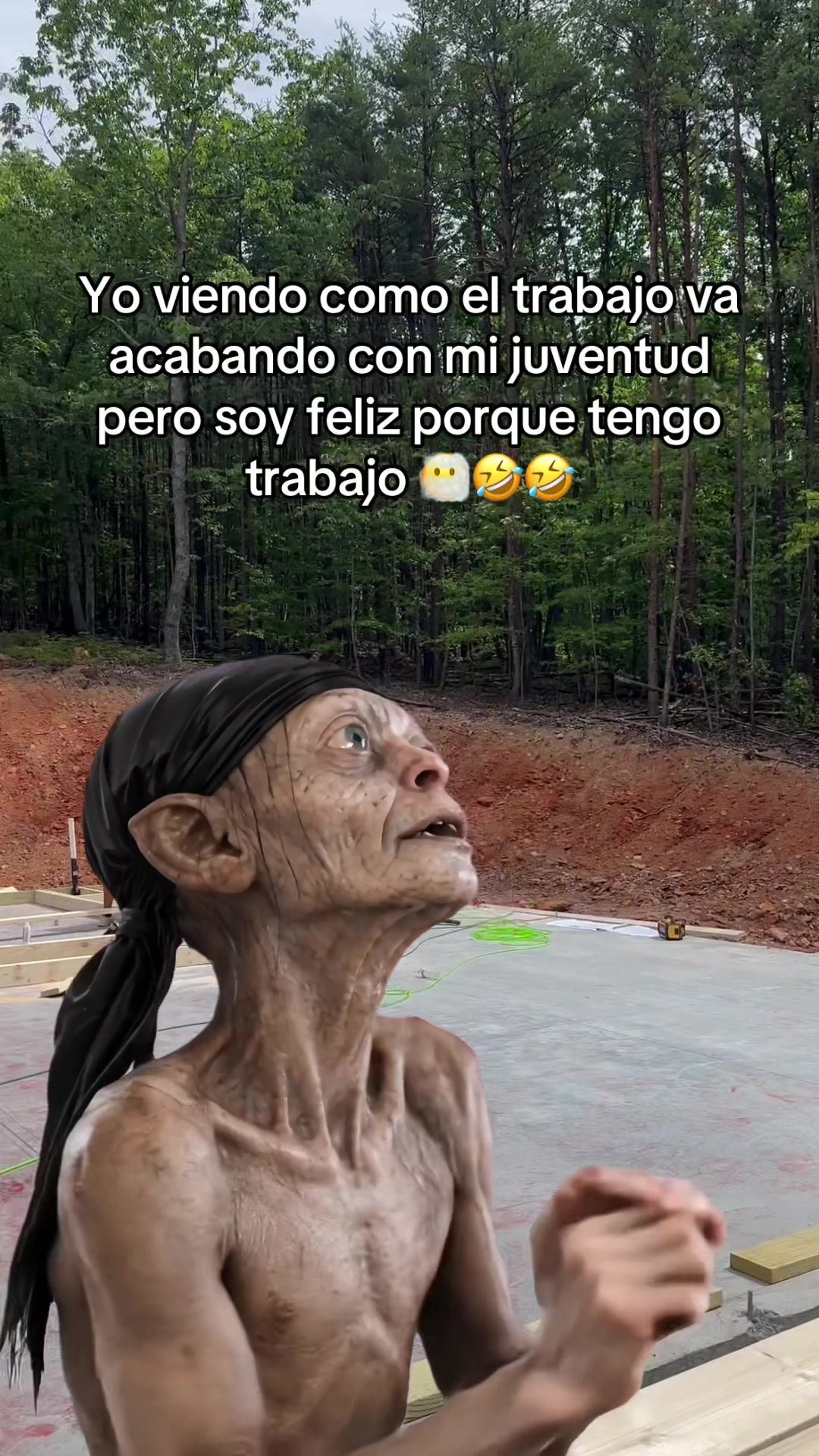 @Dani Agosto
