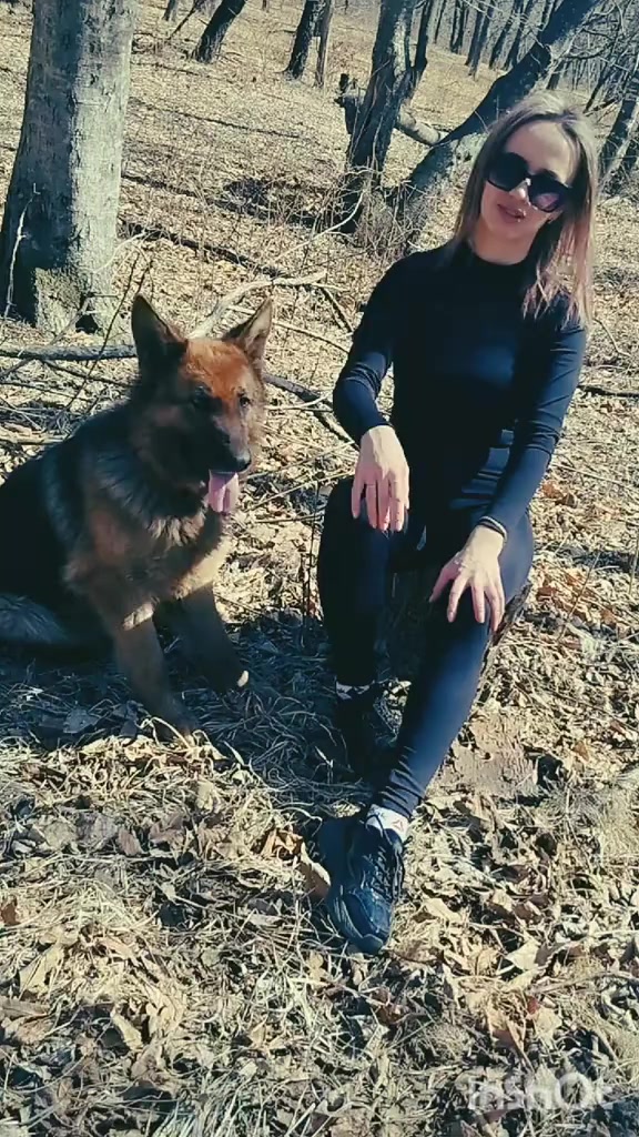 @Лиса