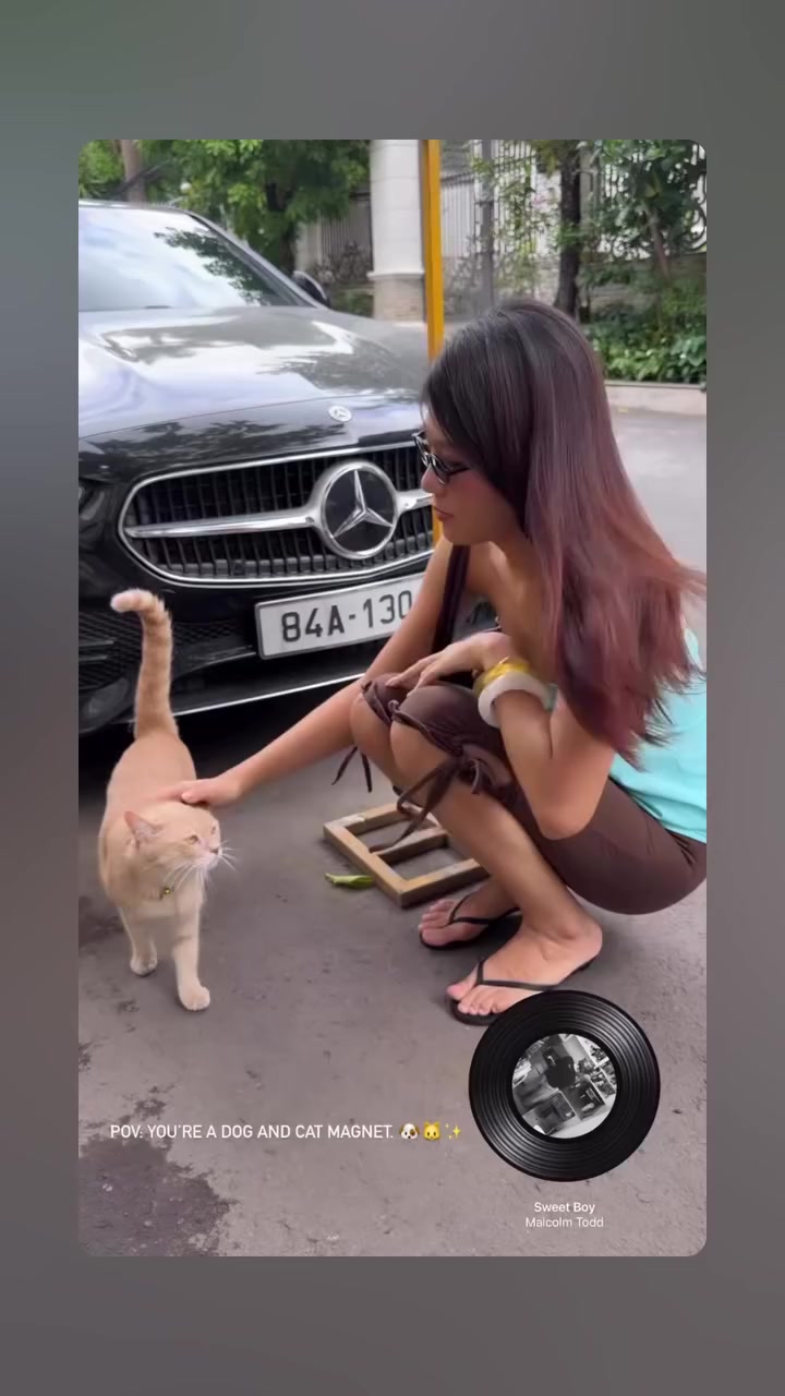 @Hoa Hướng Dương