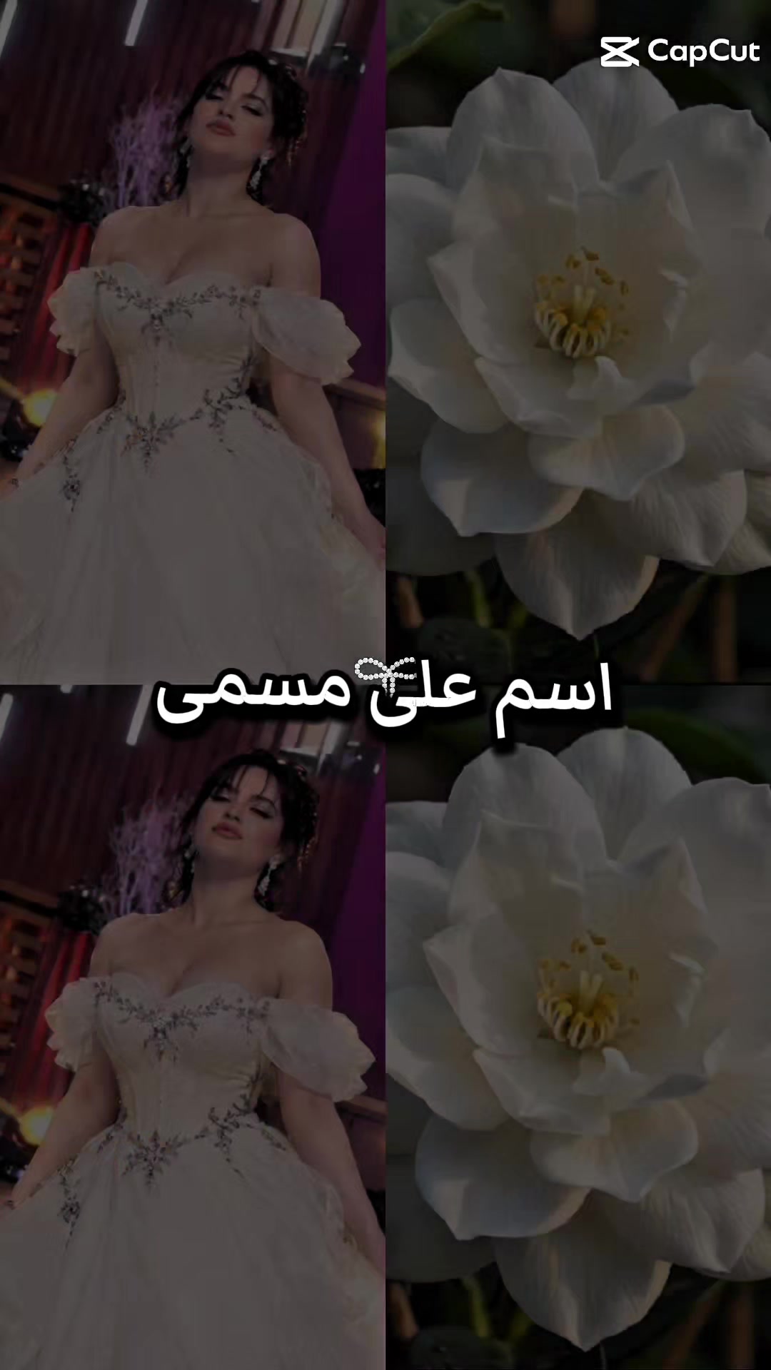 @𓆩 𖤓آمــانـي 𖤓 𓆪