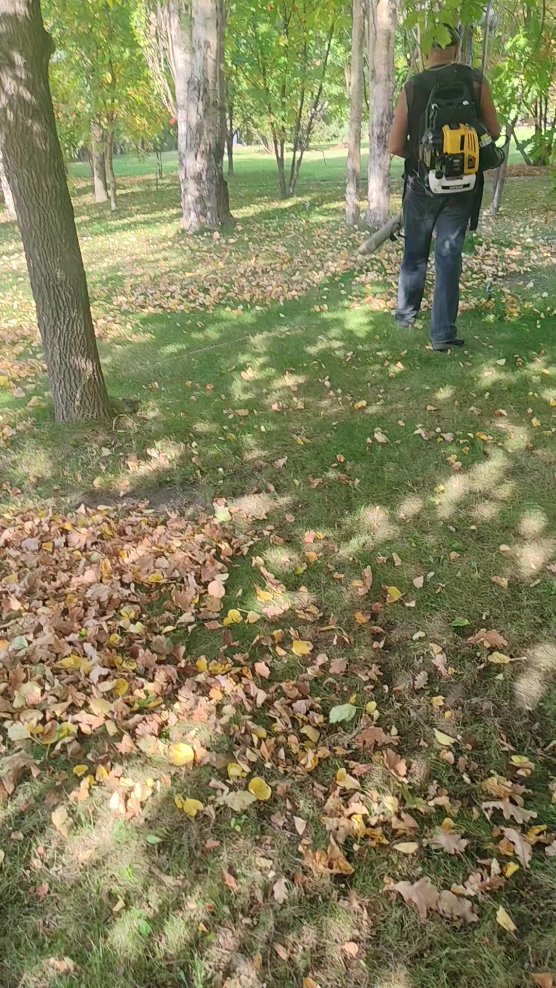 @гулак Юрий