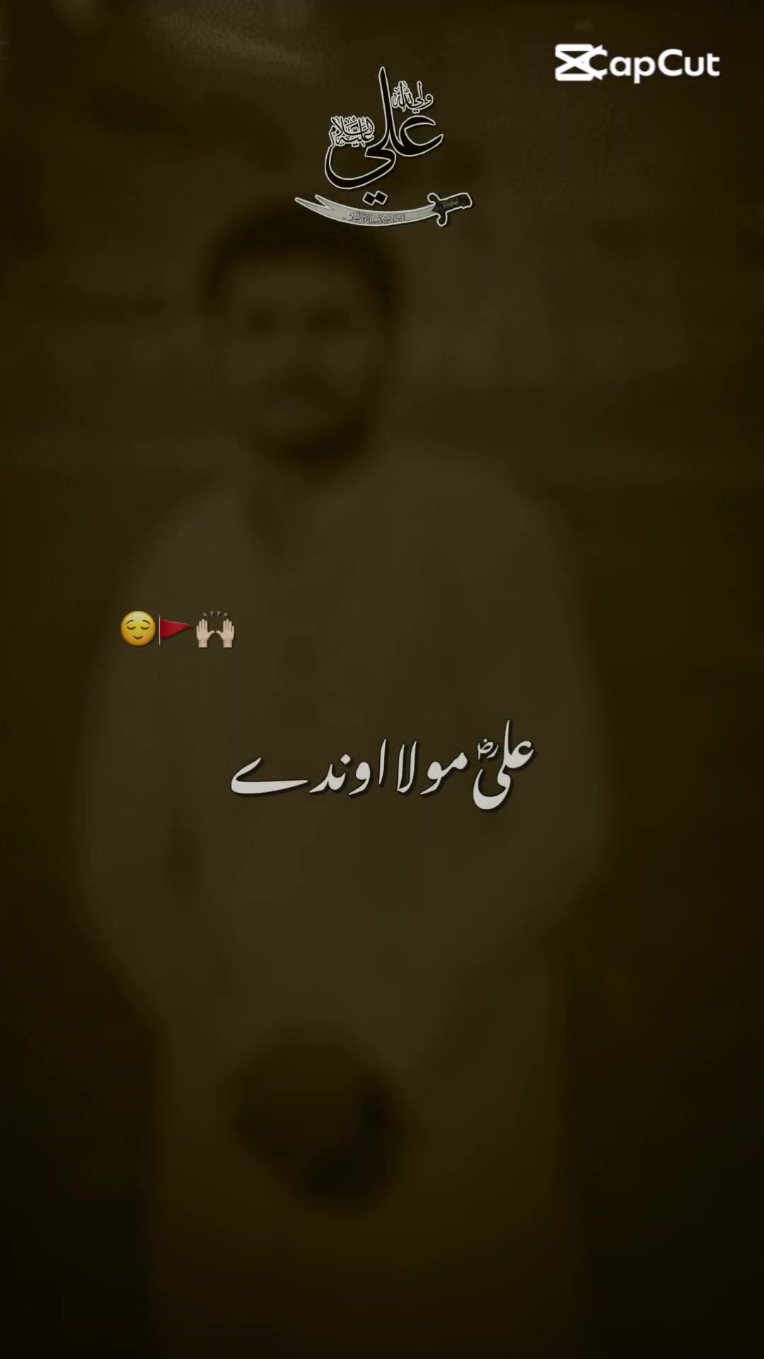 @alirazaarain8686
