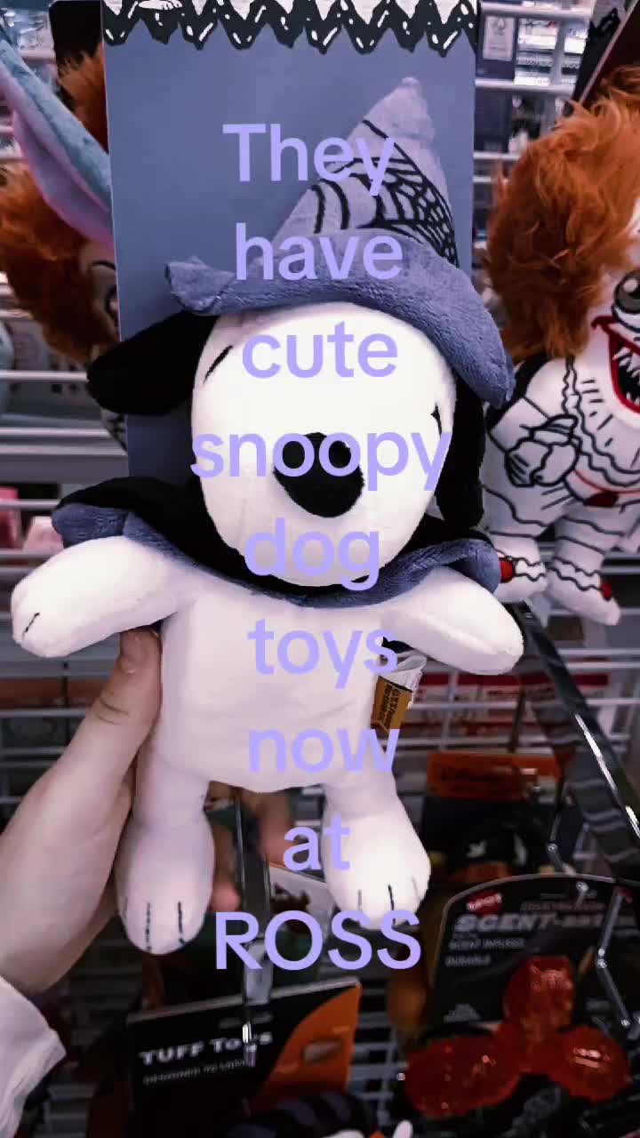 @P A I S L E Y