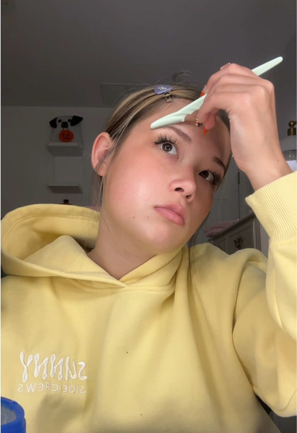 @skibidylily