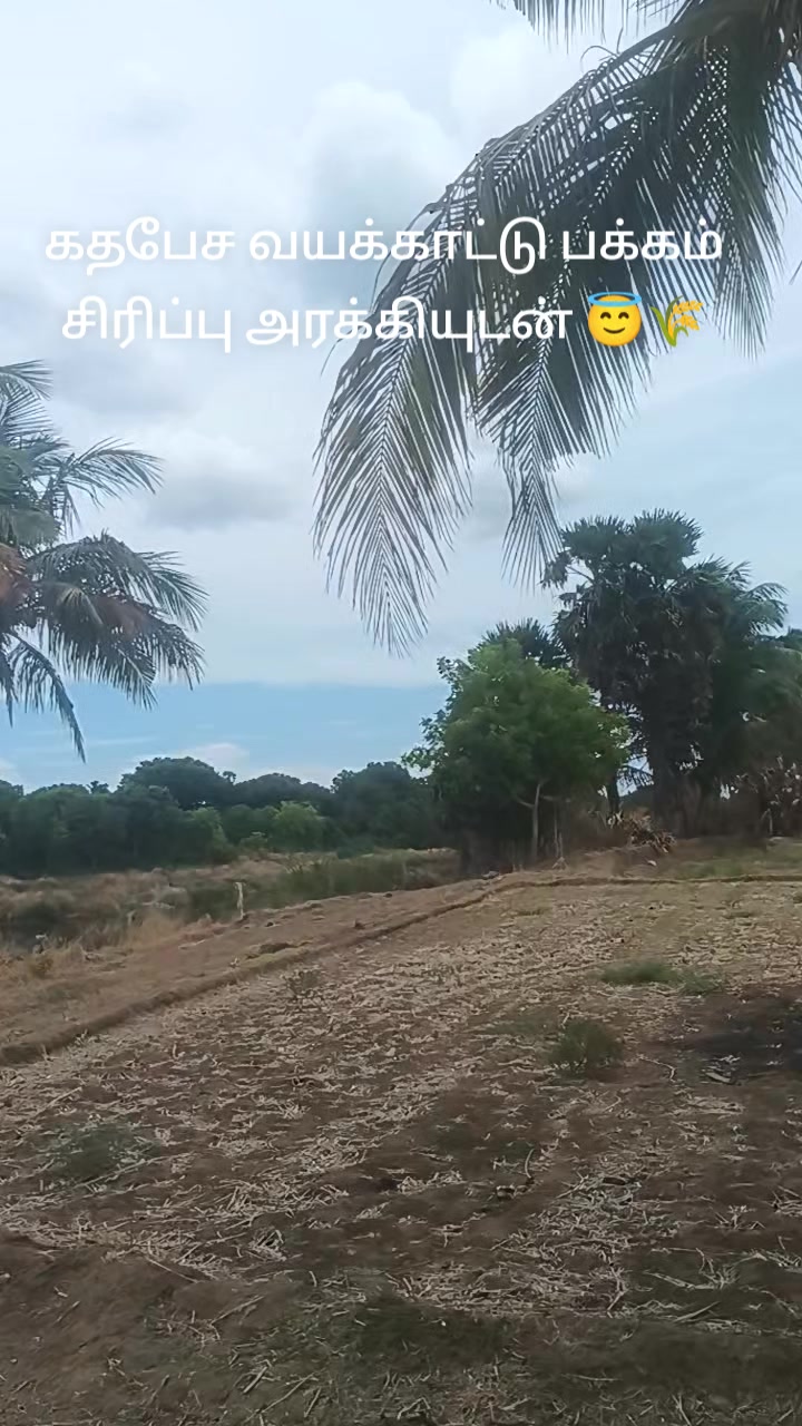 @hussain.nellai-72