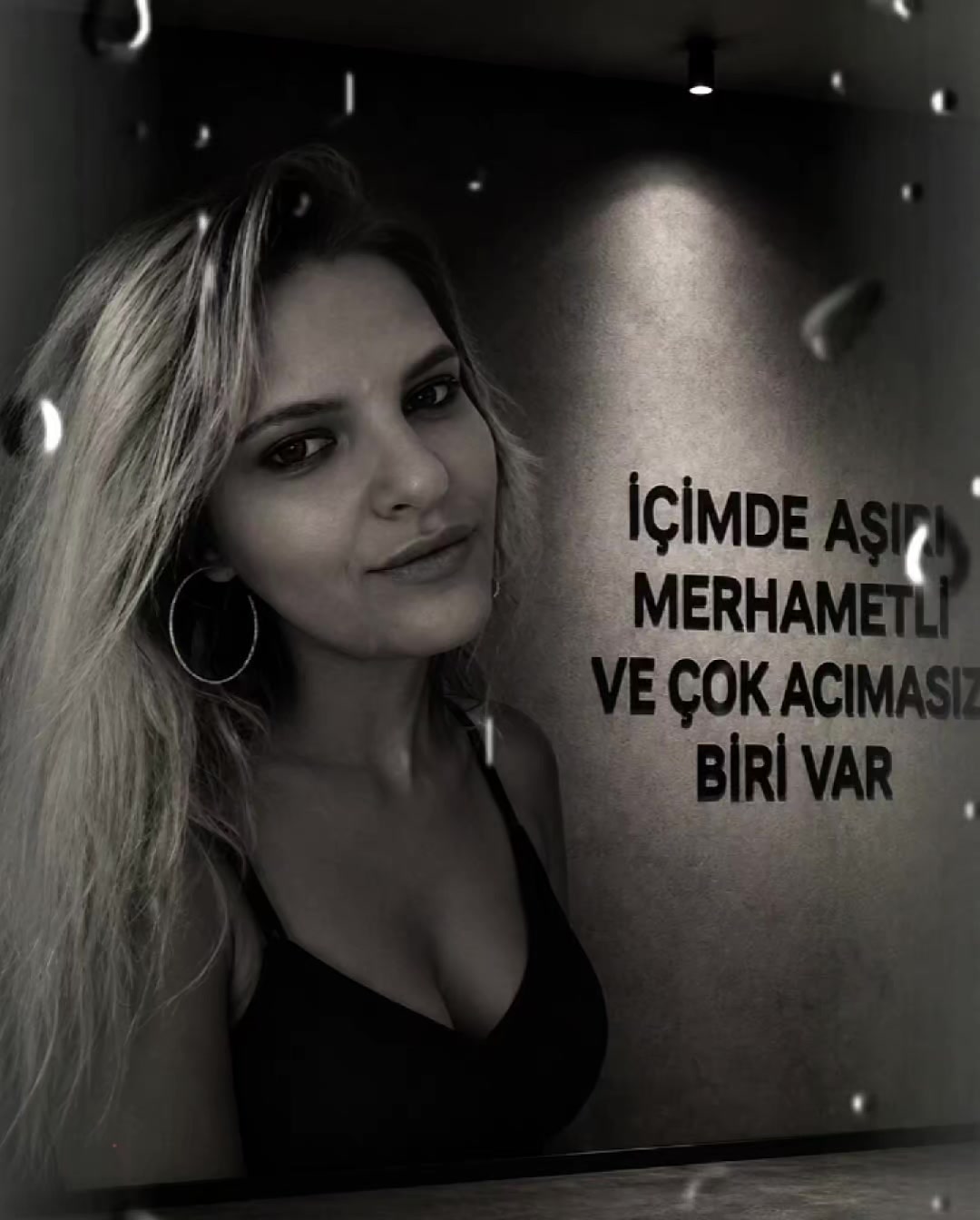 @hayall✔