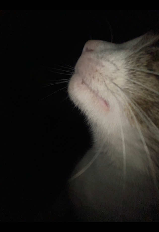 @𝖒𝖊𝖘𝖘𝖞 🪷 ☸️