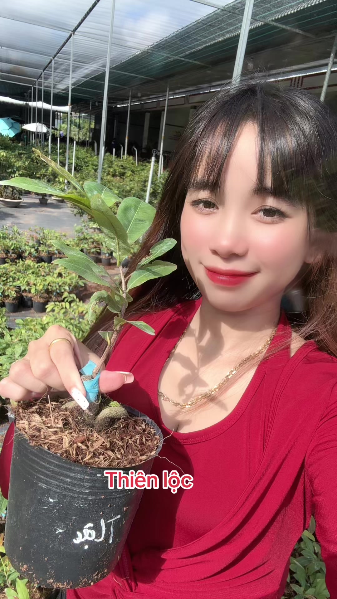 @Chichchoebong79
