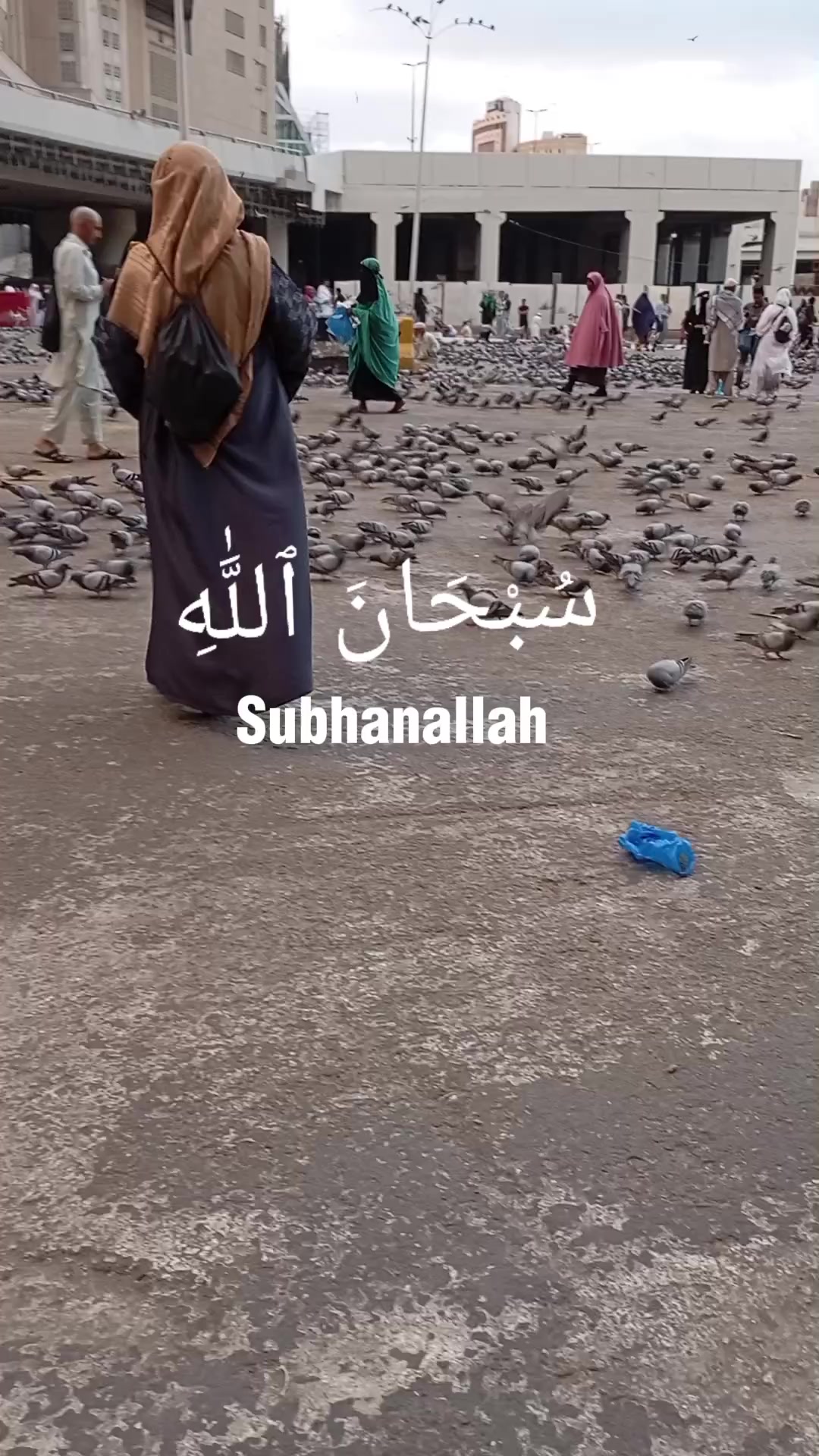 @Sobuj Chowdhory🇧🇩🇧🇷🇸🇦
