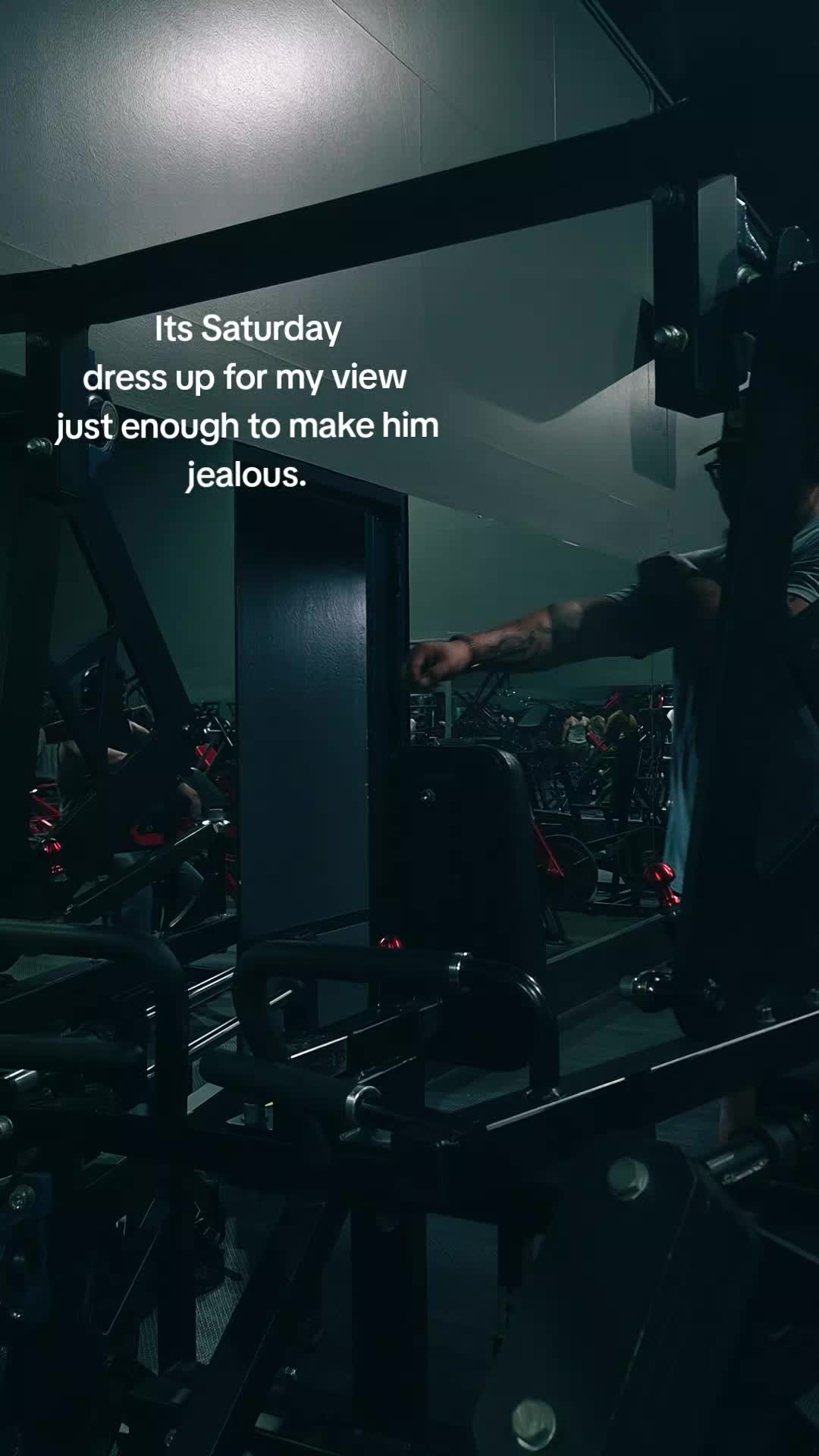 @yogi
