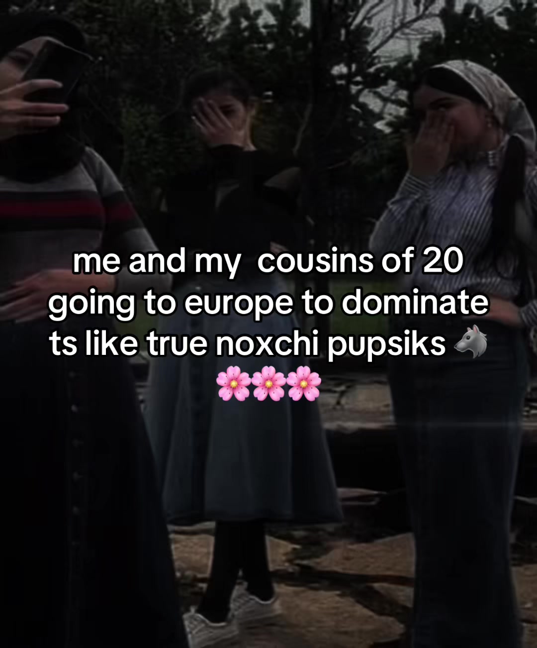 @🐺