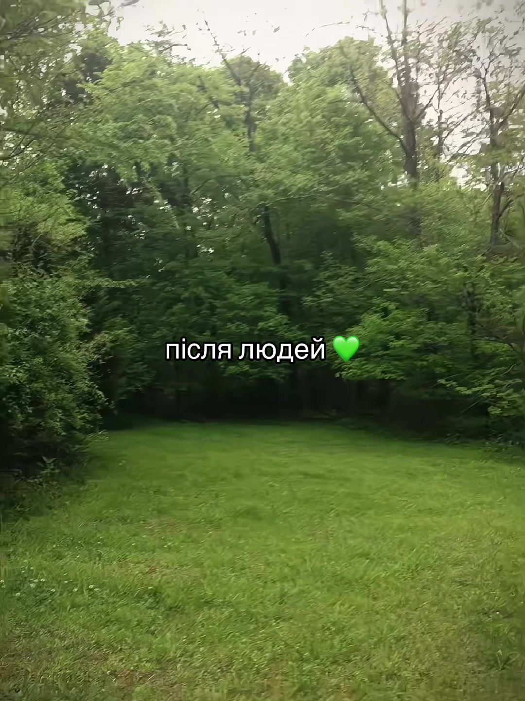 @UNICEF Ukraine