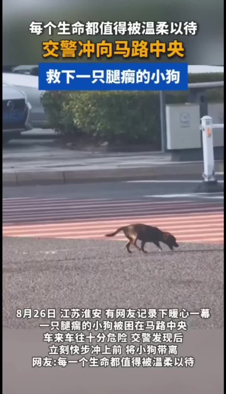 @中国蓝国际
