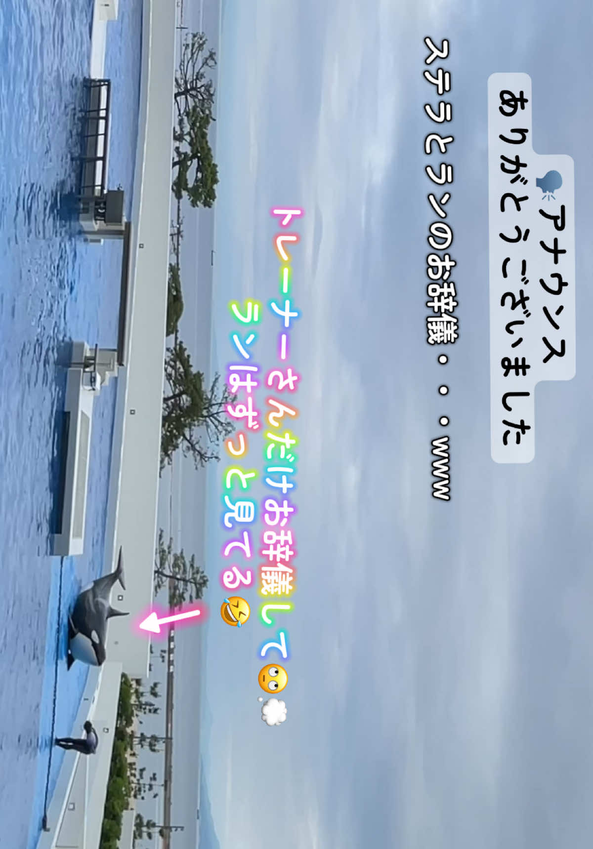 @️🫍シャチが癒し️🌈️️🫧