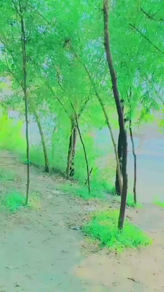 @panwar