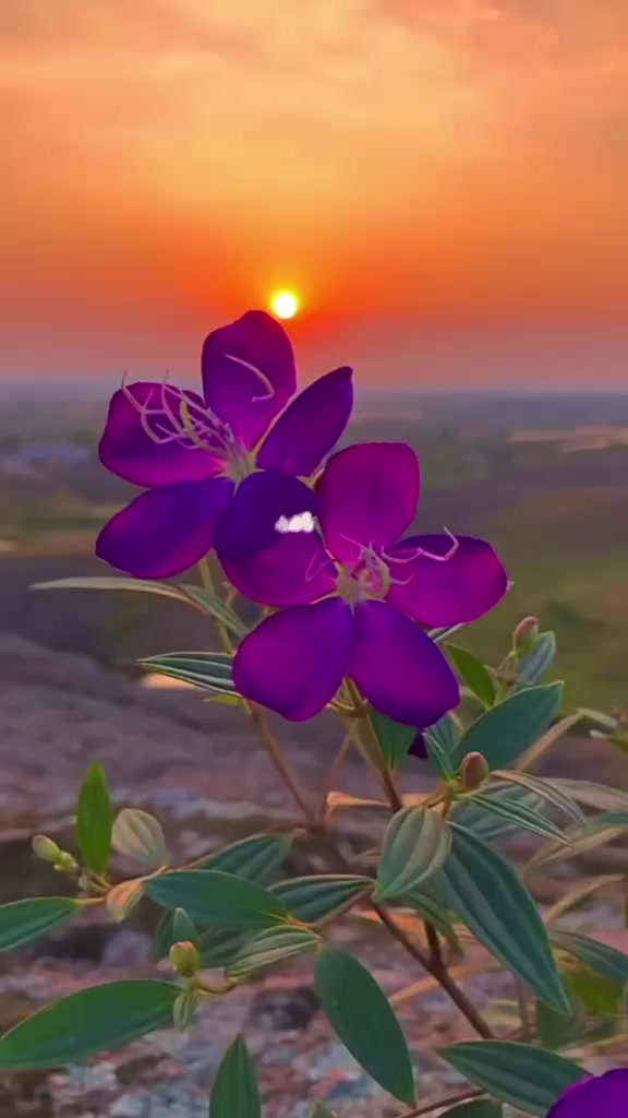 @...tanjina....