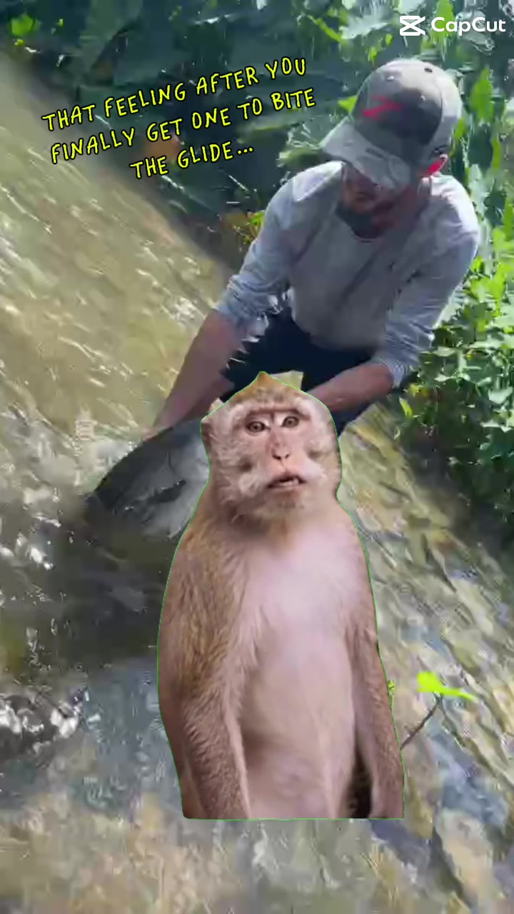 @wood.fishing