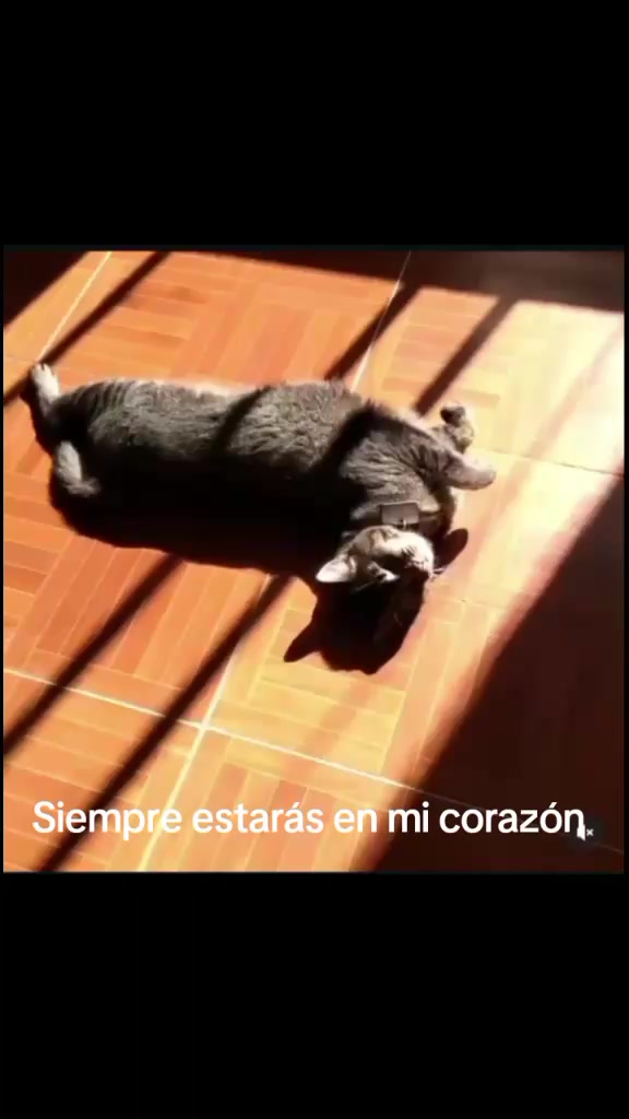 @hombre.caramelo