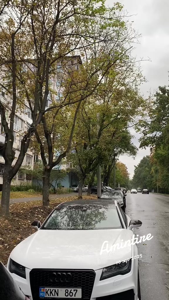@Mih 8888🦍🦍🦍